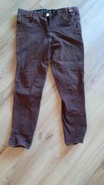 Paardrijbroek Epplejack, bruin met oranje stiksel, maat L., Dieren en Toebehoren, Paardrijkleding, Dames, Gebruikt, Ophalen of Verzenden