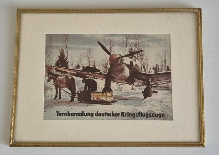 Ingelijst: Stuka Ju 87 Winter Tarnbemalung Rußlandfeldzug, Verzamelen, Militaria | Tweede Wereldoorlog, Nederland, Verzenden