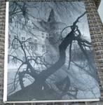 Cas Oorthuys: Helmond, een kasteel tussen fabrieken., Ophalen of Verzenden, Zo goed als nieuw, Fotografen