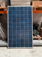 Zonnepanelen 20 stuks, 230Wp, 1640x992mm, Doe-het-zelf en Verbouw, Zonnepanelen en Toebehoren, Ophalen, Gebruikt, Paneel, 200 wattpiek of meer