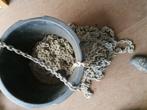 anker ketting  8 mm  25 m lang, Watersport en Boten, Ophalen, Gebruikt, Ankeren en Afmeren, Zeilboot of Motorboot