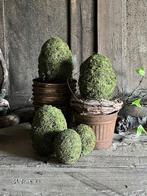 Kunst Mos eieren, Binnen, Sliedrecht, Nieuw, Ophalen of Verzenden