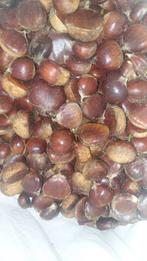 Tamme Kastanjes - Heerlijk en Vers!, Ophalen of Verzenden