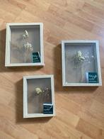 Leuke (3d) lijstjes met gedroogde bloemen erin, Minder dan 50 cm, Nieuw, Ophalen of Verzenden, Minder dan 50 cm