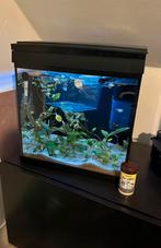 Aquarium SuperFish aqua 30 LED met toebehoren!, Ophalen of Verzenden, Zo goed als nieuw, Gevuld zoetwateraquarium