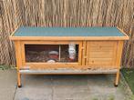 Zgan  konijnen hok, Ophalen of Verzenden, Zo goed als nieuw, 110 cm of meer, Hok