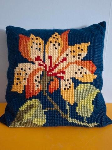 FANTASTISCH GAAF KUSSEN IN PRACHTIGE KLEUREN beschikbaar voor biedingen