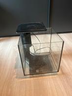 Aquarium vierkant met filter, lamp en een glasplaat, Dieren en Toebehoren, Vissen | Aquaria en Toebehoren, Ophalen, Gebruikt, Leeg aquarium
