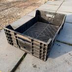 53x Bulbfust Stapelkratten Kratten Bakken Krat 60x40x18cm, Ophalen, Gebruikt, 40 tot 60 cm, 50 tot 75 cm