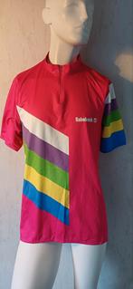 Vintage Rabobank Wielren fiets shirt XL Topstaat, Fietsen en Brommers, Fietsaccessoires | Fietskleding, Bovenkleding, XL, Zo goed als nieuw