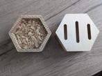 Vlinderhuis en insectenhuis (hexagon model), Ophalen of Verzenden, Nieuw