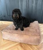 Vloerkussen tafel of hondenkussen poef hocker, Ophalen of Verzenden, Zo goed als nieuw, Vierkant