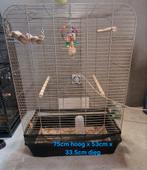 Kooi, Ophalen, Zo goed als nieuw, Hout, Vogelkooi