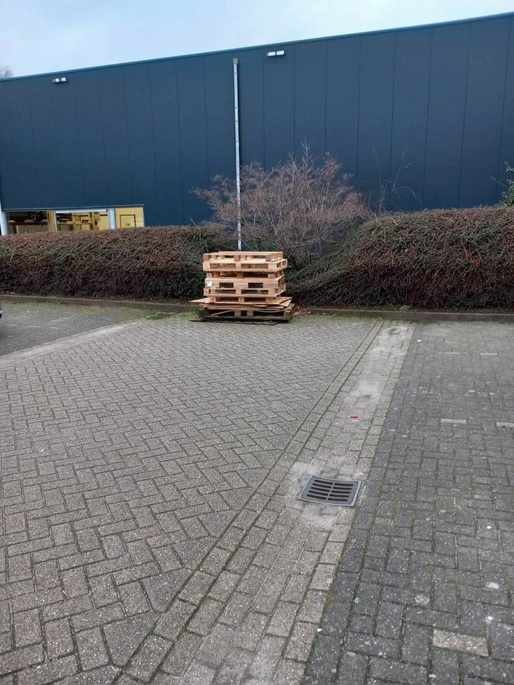 Gratis ter afhaal zoom 18 te assen ( pallets en platen), Doe-het-zelf en Verbouw, Hout en Planken, Nieuw, Plank, Overige houtsoorten