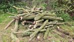 4 m3 Eiken brandhout, Tuin en Terras, Haardhout, 3 tot 6 m³, Ophalen, Eikenhout, Stammen