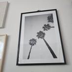 Palmbomen poster Desenio, 50 tot 75 cm, Ophalen of Verzenden, Zo goed als nieuw, 50 tot 75 cm
