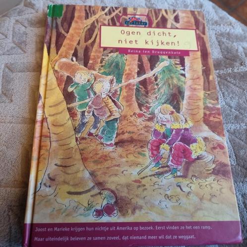 Reina ten Bruggenkate - Ogen dicht, niet kijken!, Boeken, Kinderboeken | Jeugd | 10 tot 12 jaar, Gelezen, Ophalen of Verzenden