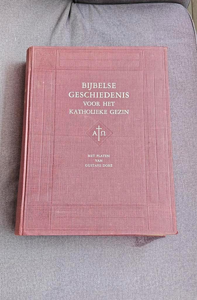 Bijbelse Geschiedenis voor het Katholieke Gezin, Boeken, Godsdienst en Theologie, Gelezen, Christendom | Katholiek, Ophalen of Verzenden