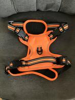 Nieuw/mooi oranje tuig hondenharnas hond/M, Ophalen of Verzenden, Nieuw, Hondenriem-accessoire