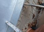 Stalen latei 340 cm l38 thermisch verzinkt, Doe-het-zelf en Verbouw, Metalen, Ophalen, Nieuw, IJzer