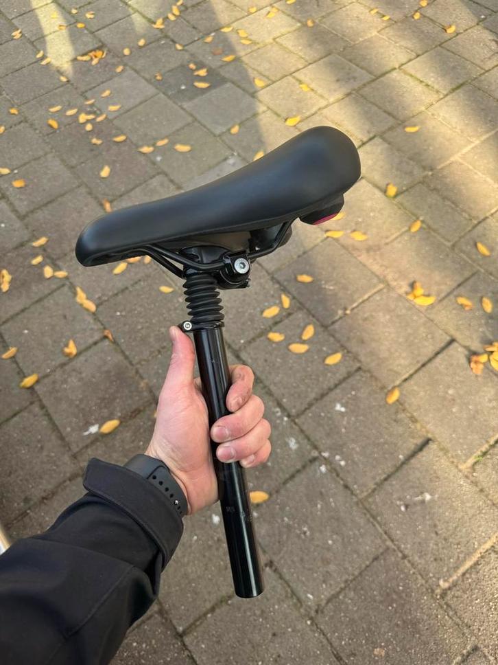 Terry Anatomica Dames Zadel + Verende Zadelpen, Fietsen en Brommers, Fietsonderdelen, Zo goed als nieuw, Algemeen, Zadel, Ophalen of Verzenden