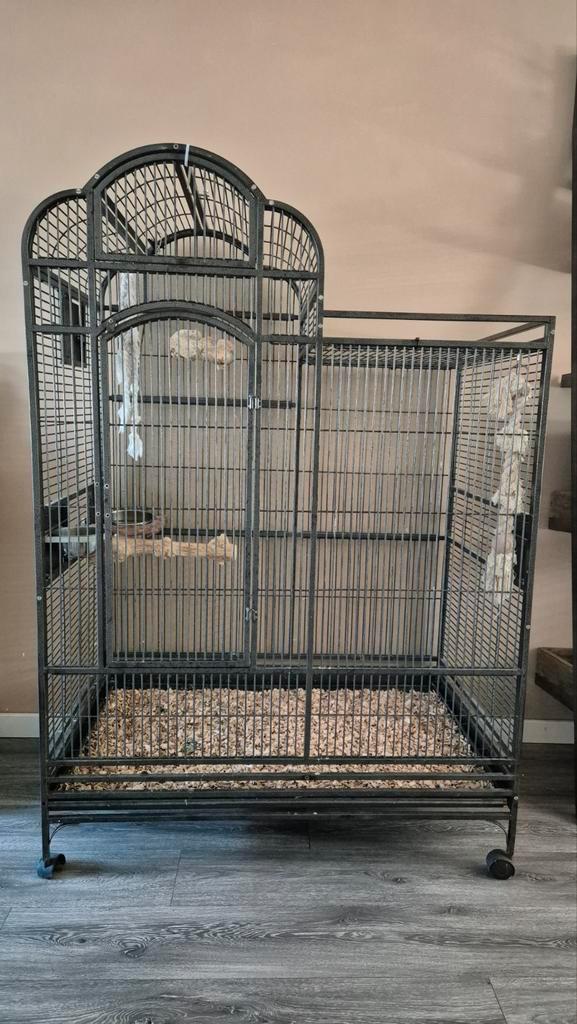 Papegaaienkooi / vogelkooi strong venus, Dieren en Toebehoren, Vogels | Hokken en Kooien, Gebruikt, Vogelkooi, Metaal, Ophalen of Verzenden