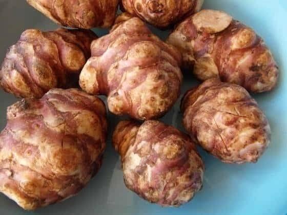 Aardperen & GRATIS Salie & Rozemarijn van de moestuin, Diversen, Levensmiddelen, Ophalen of Verzenden