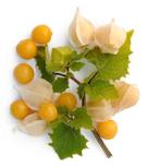 Ananaskers zaden - 10 stuks voor €1,00, Ophalen of Verzenden, Voorjaar, Volle zon, Zaad