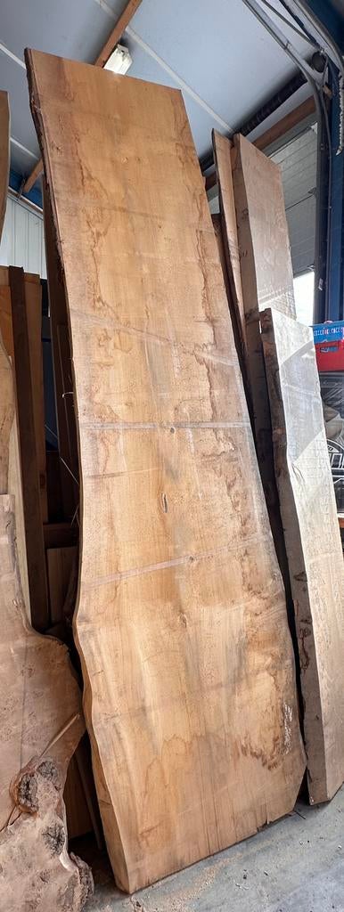 Schaaldeel 330 x 98/80cm, Minder dan 25 mm, Ophalen of Verzenden, Zo goed als nieuw, Plank