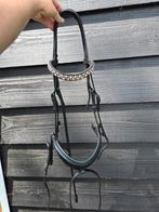 Brudle 2 fit hoofdstel en judi frontriem, Dieren en Toebehoren, Paarden en Pony's | Hoofdstellen en Tuigage, Ophalen of Verzenden