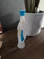 Maria Lourdes plastic flesje, Ophalen of Verzenden, Zo goed als nieuw