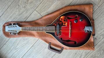 Vintage Samick electric mandoline  beschikbaar voor biedingen