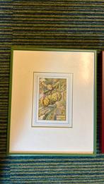 Twee oude printen cicely Mary Barker, Antiek en Kunst, Ophalen of Verzenden