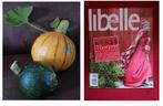 Kerst voorpret Libelle Nr 49 dec 2010, Verzenden, 1980 tot heden, Nederland, Tijdschrift