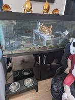 Aqarium 120 x 50 x40 met meubel, Ophalen, Gebruikt, Filter of Co2