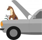 Steenmarters wering, Steen of Klei, Nieuw, Ophalen of Verzenden, 15 m² of meer