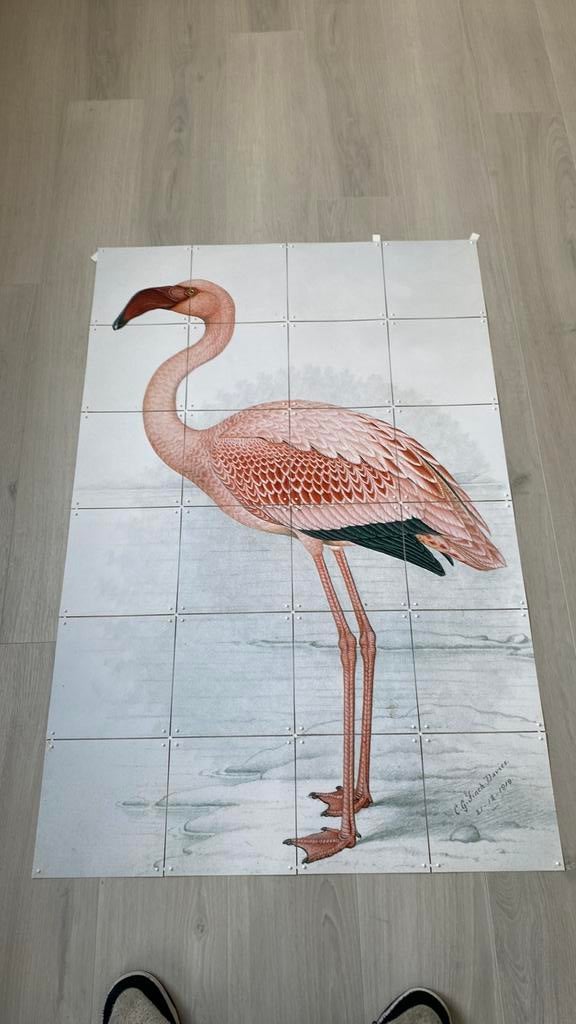 Flamingo poster c.g. Finch . Davies, Ophalen of Verzenden