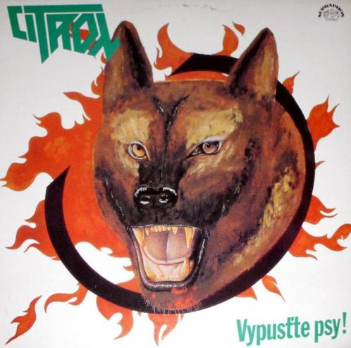 Mooie LP's voor de liefhebber (54) vanaf 4 euro, Cd's en Dvd's, Vinyl | Pop, Gebruikt, 1960 tot 1980, Ophalen of Verzenden