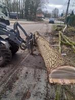 Eiken stamhout, Tuin en Terras, Haardhout, Ophalen of Verzenden