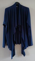 Dames soepel vallend blauw vest maat 46, Ophalen of Verzenden, Zo goed als nieuw, Maat 46/48 (XL) of groter, Blauw