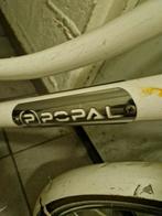 Te koop, Fietsen en Brommers, Fietsen | Vouwfietsen, Ophalen of Verzenden, Overige merken