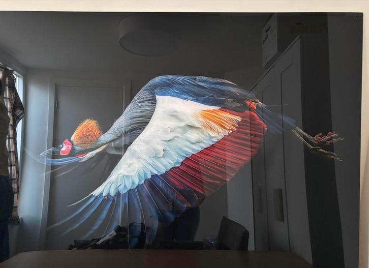 Yellow Korner - Pedro Jarque Kreps - Echoes of the Wild, Antiek en Kunst, Kunst | Tekeningen en Foto's, Ophalen