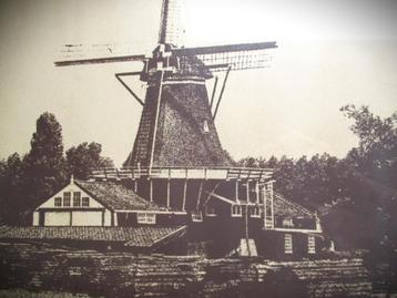 Molen Zaagmolen Herder Leiden~Grote Foto Prent achter Glas beschikbaar voor biedingen