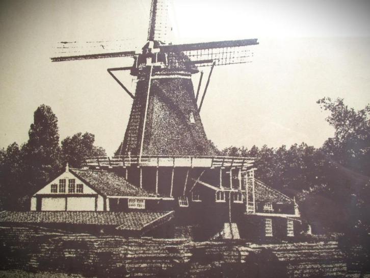 Molen Zaagmolen Herder Leiden~Grote Foto Prent achter Glas, Verzamelen, Foto's en Prenten, Zo goed als nieuw, Prent, Overige onderwerpen
