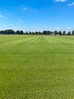 Graszoden bestellen ophalen/bezorgen, Ophalen, 20 m² of meer, Willemsgraszoden@gmail.com, Willems Graszoden