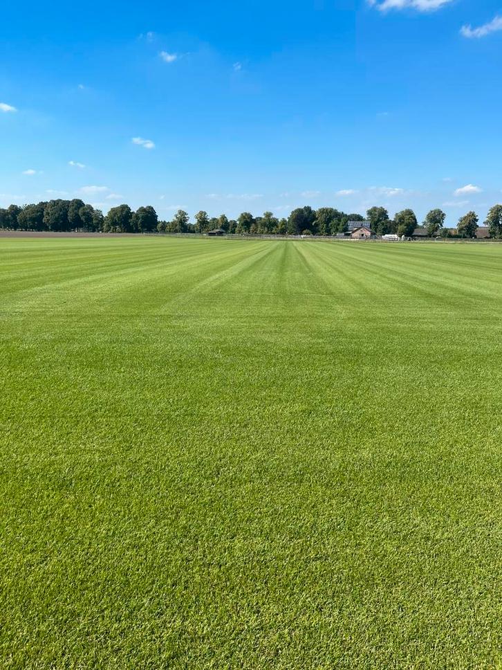 Graszoden bestellen ophalen/bezorgen, Tuin en Terras, Gras en Kunstgras, Nieuw, Gras, 20 m² of meer, Ophalen