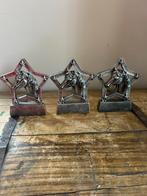 3x paardensport trofeeën paardenhoofd in ster, Ophalen of Verzenden, Nieuw, Overige soorten