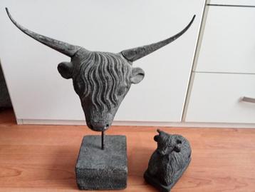 Stenen Schotse Hooglanders - ZGAN beschikbaar voor biedingen