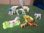Playmobil Eenhoornsetje met meisjes popje, Ophalen of Verzenden, Zo goed als nieuw