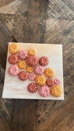 Canvas met pompoenen, Ophalen of Verzenden, Zo goed als nieuw, Overige thema's